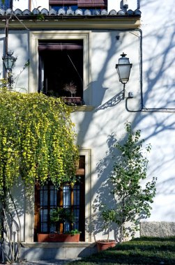 Granada'da alhambra Sarayı bahçeleri