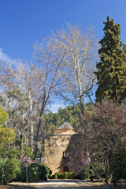 Granada'da alhambra Sarayı bahçeleri