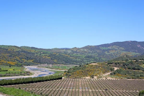 Fiume sinuoso vicino al vigneto in Spagna — Foto Stock