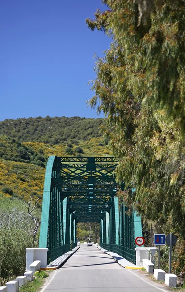 Μακρύ, πράσινο μεταλλική γέφυρα πάνω από τον ποταμό στην Ισπανία — Φωτογραφία Αρχείου
