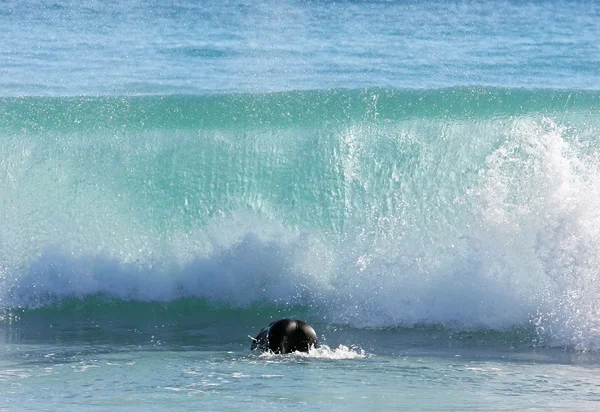 Surfista se esquivando sob grande onda de ruptura — Fotografia de Stock