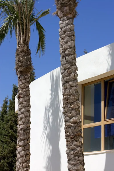 新的白色建筑与棕榈树和蓝蓝的天空 — 图库照片