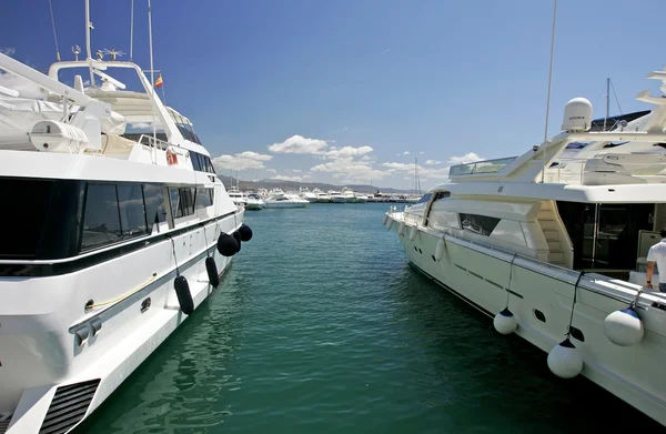Grands, beaux, magnifiques et luxueux yachts blancs — Photo