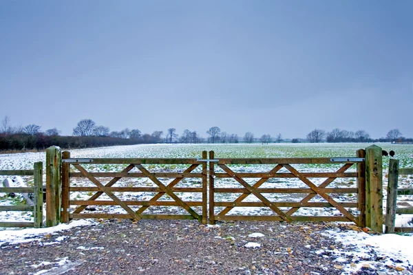 Portão de madeira ao lado de um campo de inverno com ovelhas pretas — Fotografia de Stock