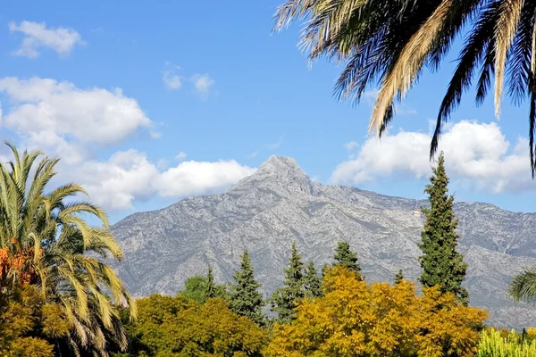 Landscape with La Concha mountain in Marbella — Stock Photo, Image
