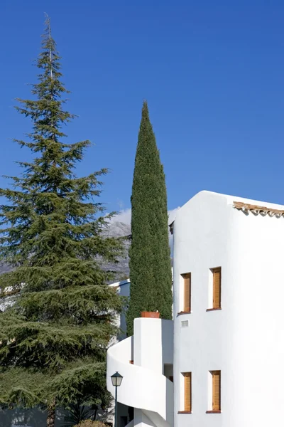 Beyaz bina, uzun boylu ağaç ve dağ manzaralı — Stok fotoğraf
