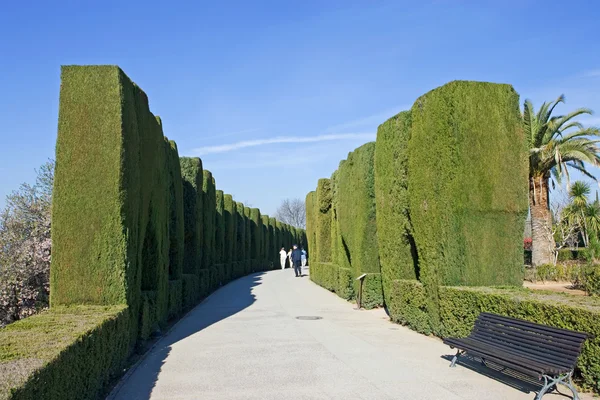 グラナダのアルハンブラ宮殿の庭園 — ストック写真