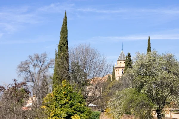 Сады дворца Альгамбра в Гранаде — стоковое фото