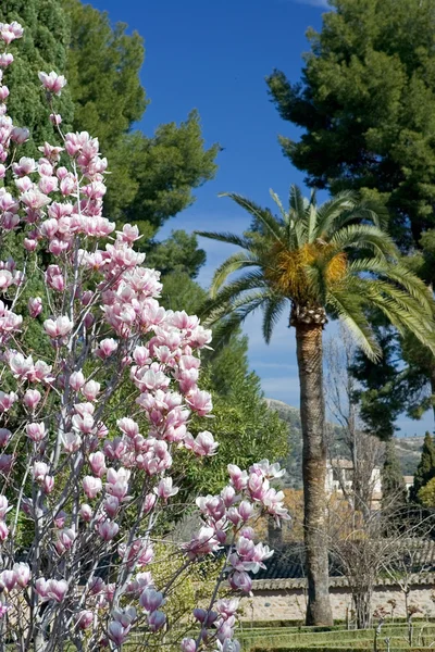 Zahrady paláce alhambra v Granadě — Stock fotografie