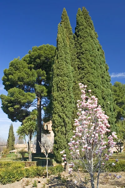 Zahrady paláce alhambra v Granadě — Stock fotografie