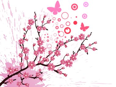 Cherry blossom clipart