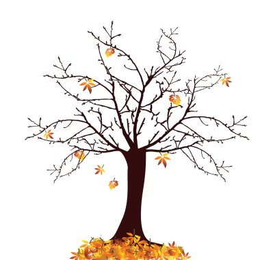 Autumn tree clipart