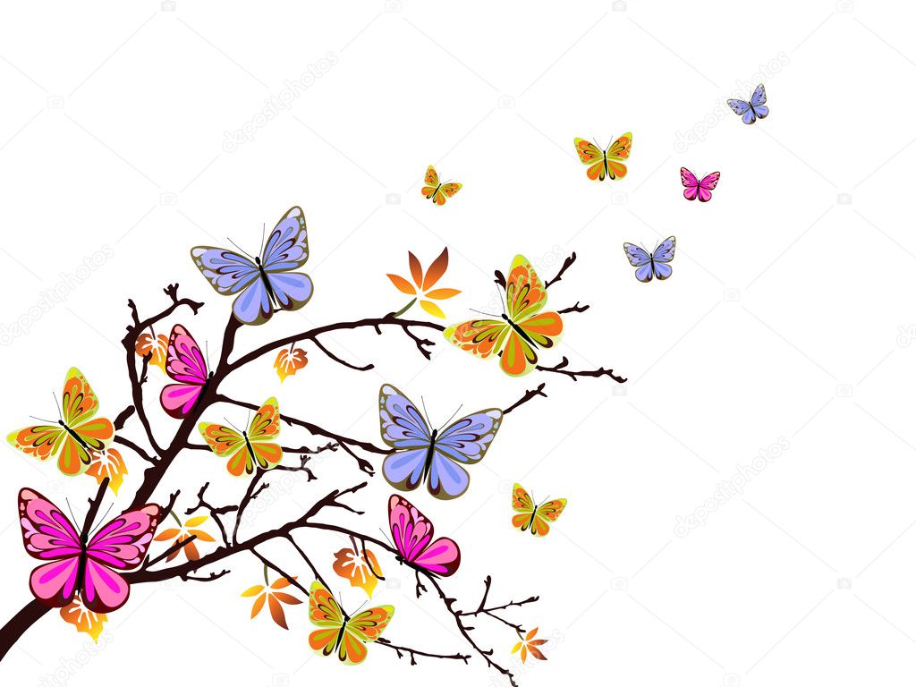 Butterflies branch