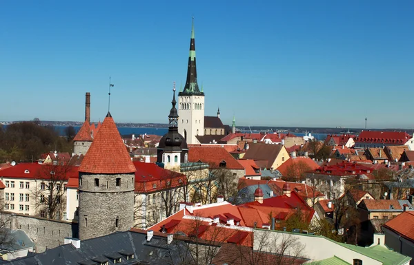 stock image Roofs.