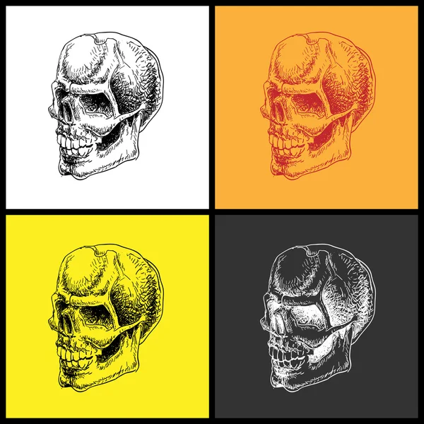 Set of doodle skulls. — Stock Vector