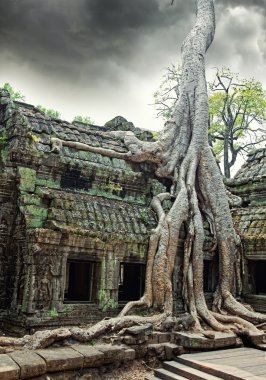 Temple of Ta Prohm in Angkor Wat clipart