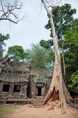 Angkor wat