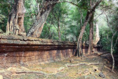 Angkor wat