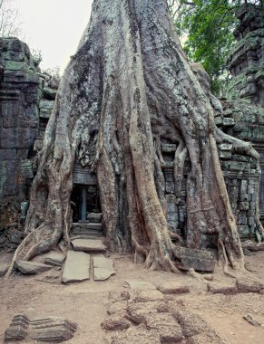 Angkor Wat clipart
