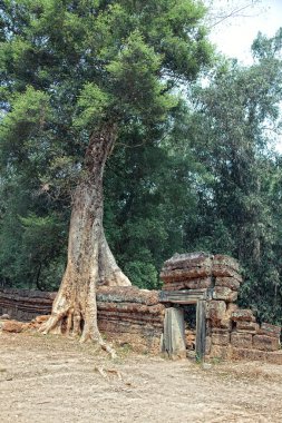 Angkor wat