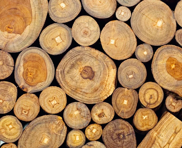 Drewno tekowe — Zdjęcie stockowe