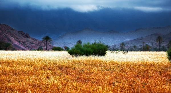 Tempestade em Marrocos — Fotografia de Stock