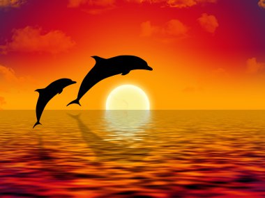 Swimming dolphins clipart