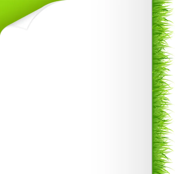Grünes Gras und Papier — Stockvektor