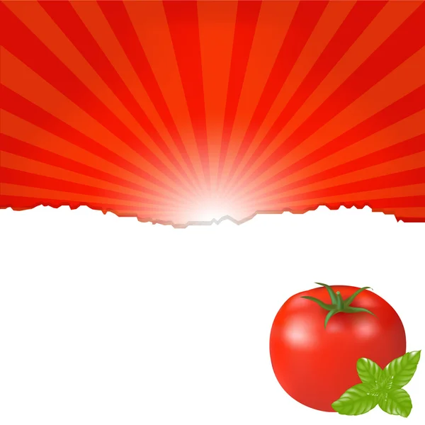 Rote Tomate — Stockvektor