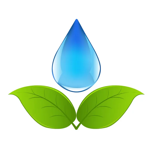 Kropla wody z kiełkować — Wektor stockowy