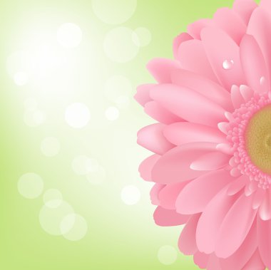 Gerbera clipart