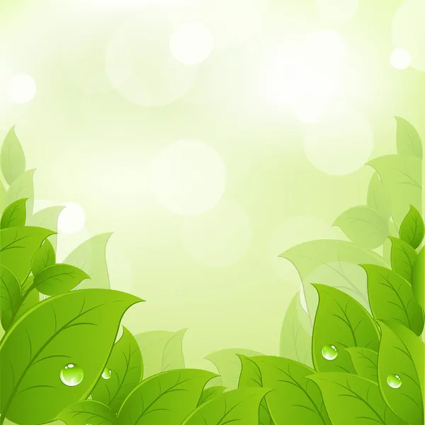 Fresh And Green Leaves — Stock Vector