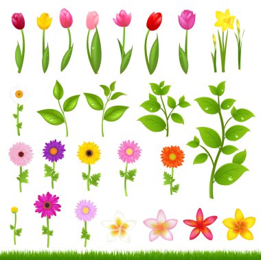 Flower Borders - 8 clipart