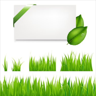 Green Grass clipart