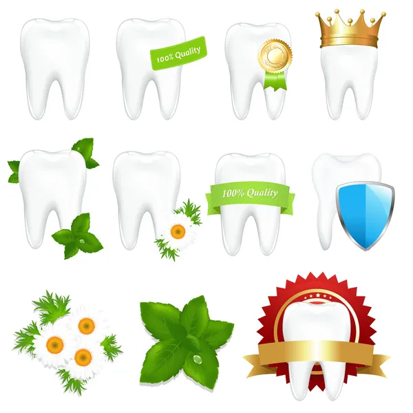 Set de dientes — Archivo Imágenes Vectoriales