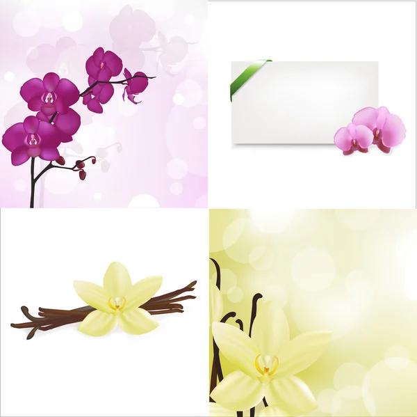 Orchidées et ensemble de vanille — Image vectorielle