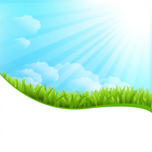 Ilustrace letní trávy — Stockový vektor
