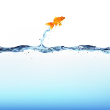Goldfish And Water clipart