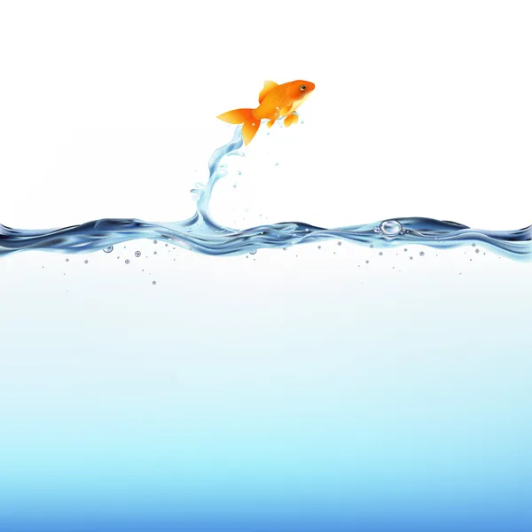 Guldfisk och vatten — Stock vektor