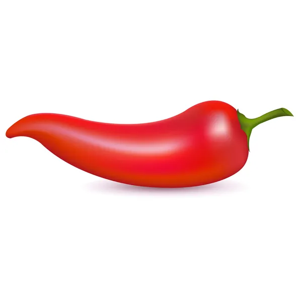 Piros csípős chili paprika — Stock Vector