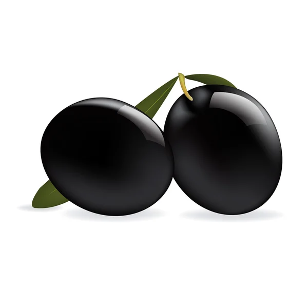 Svarta oliver — Stock vektor