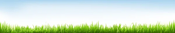 Header With Grass — Stock Vector