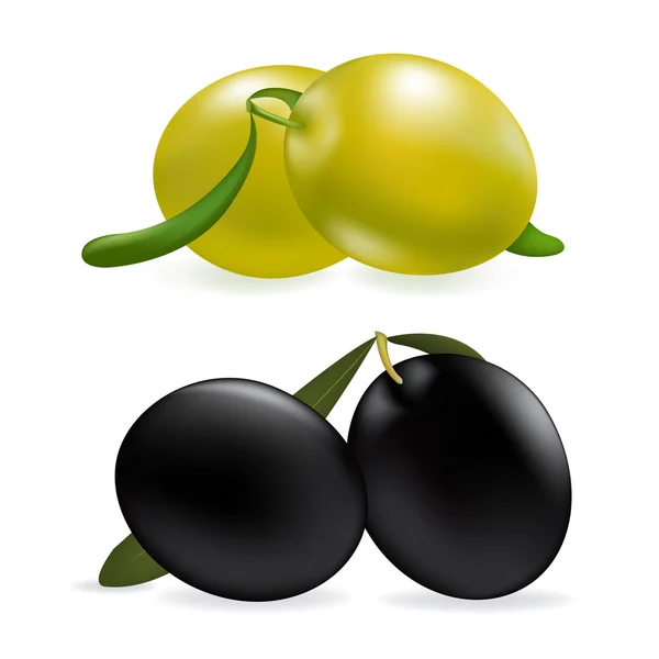 橄榄 — 图库矢量图片