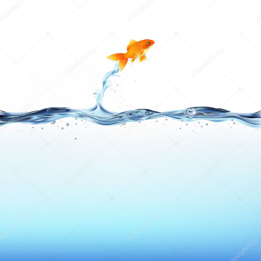 Goldfish And Water