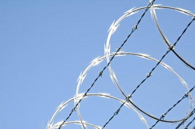 Razor Wire 3 clipart