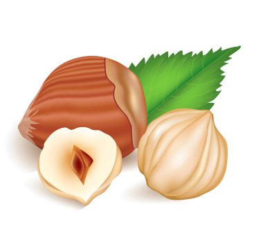 Hazelnuts with laeves. clipart