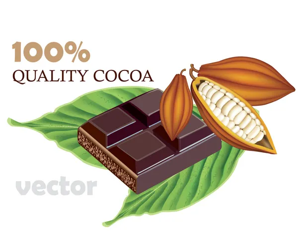 Kakaobohnen mit grünem Blatt schwarzer Schokolade — Stockvektor