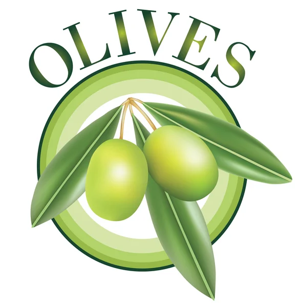 Оливки — стоковый вектор