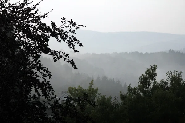 Fog landscape — Stock Photo, Image