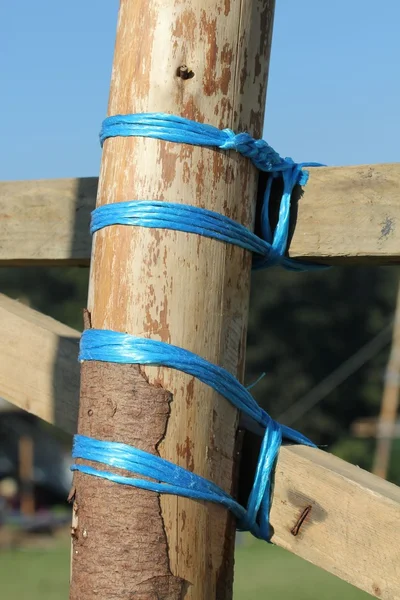 Knoten und Holz — Stockfoto